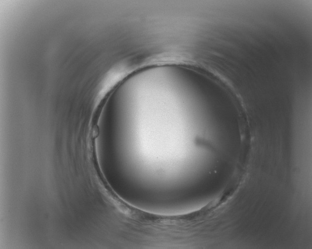 X0000077361469200610271841