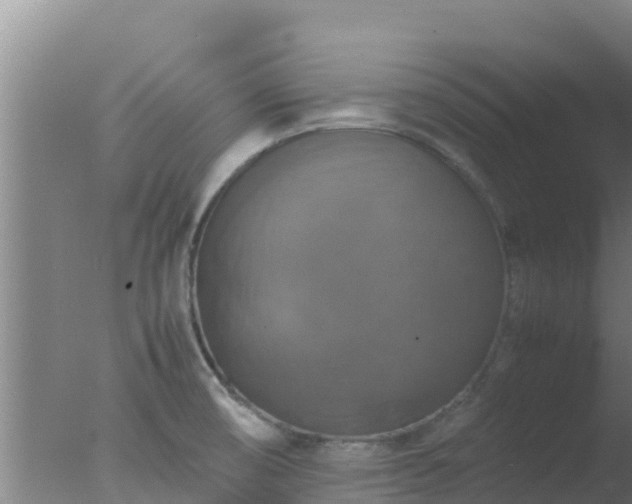 X0000077361474200610271841