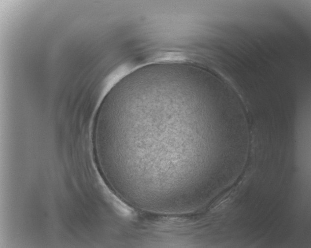 X0000077361475200610271841