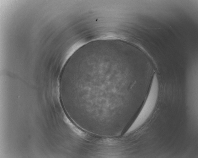 X0000077361476200610271841