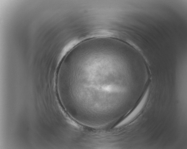 X0000077361477200610271841