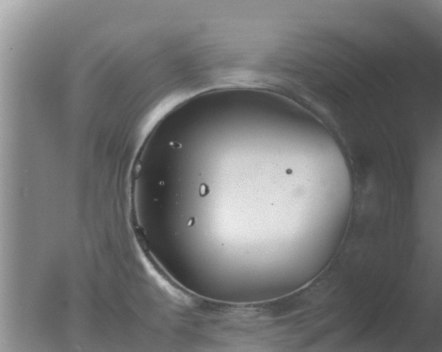 X0000077361479200610271841