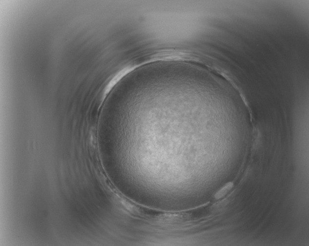 X0000077361481200610271841