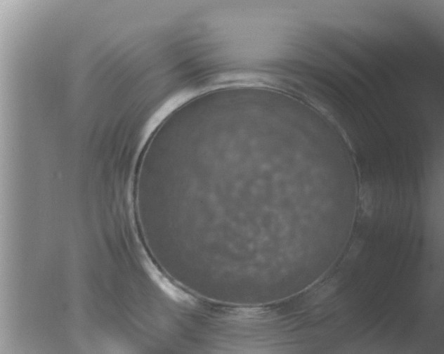 X0000077361482200610271841