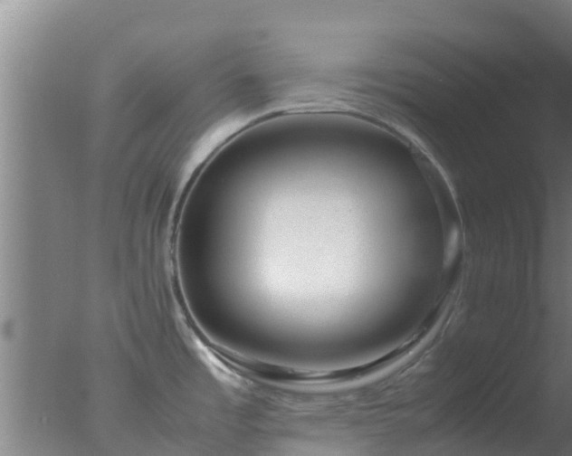 X0000077361485200610271841