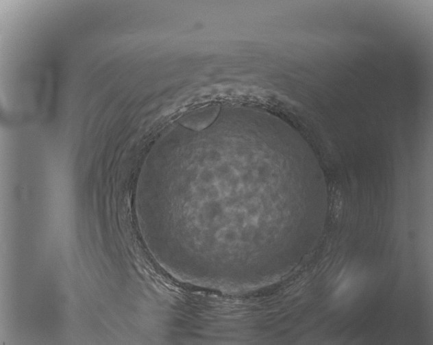 X0000077361489200610271840