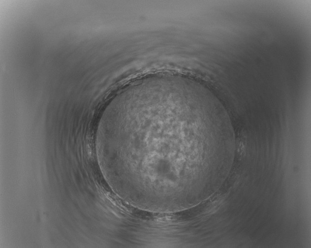 X0000077361490200610271840