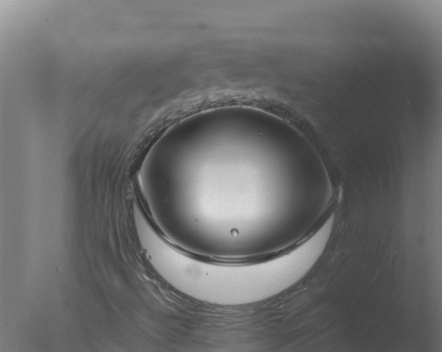 X0000077361492200610271840