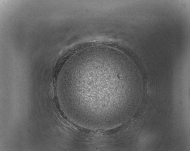 X0000077361493200610271840