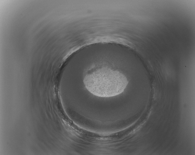 X0000077361497200610271840