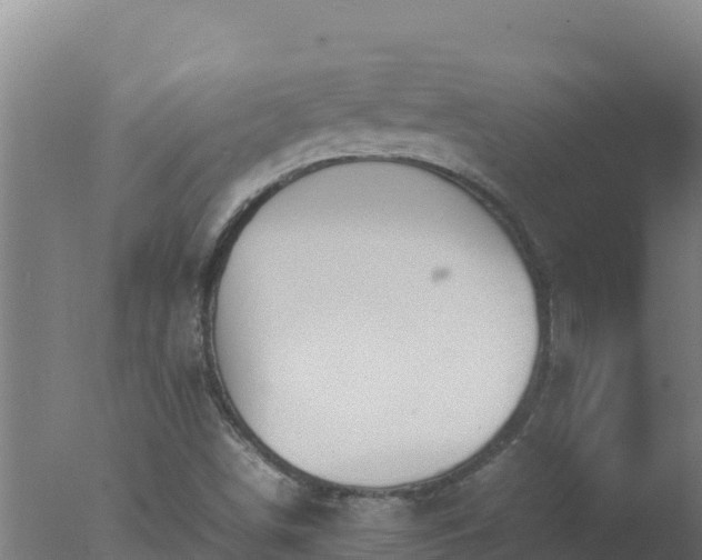 X0000077361498200610271840