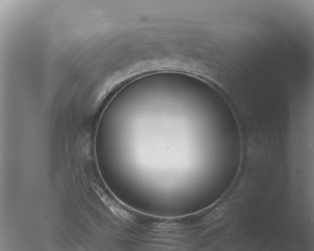 X0000077361499200610271840