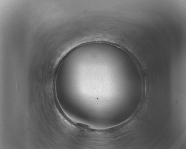 X0000077361500200610271840