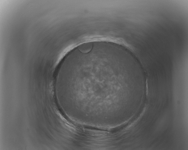 X0000077361501200610271840