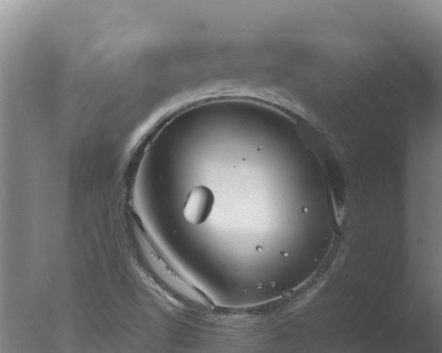 X0000077361502200610271840