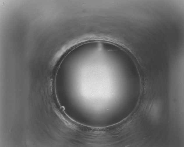 X0000077361503200610271840