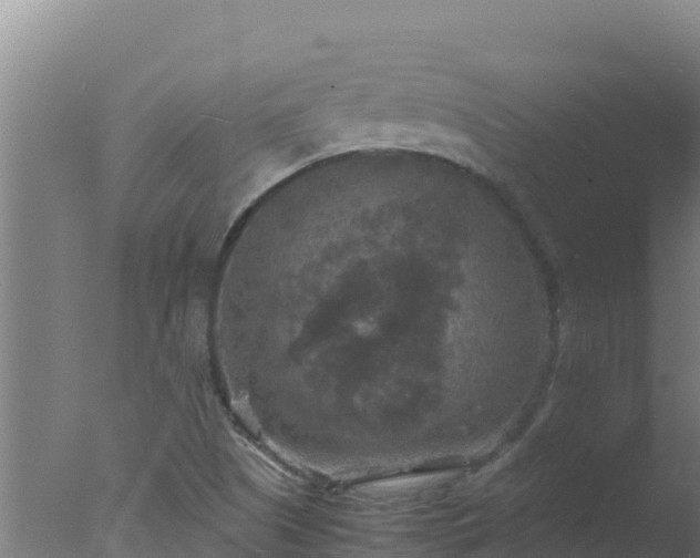 X0000077361505200610271840