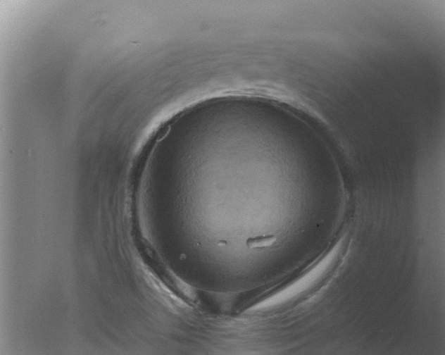 X0000077361506200610271841