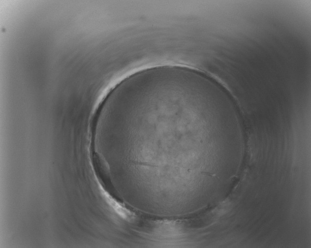 X0000077361508200610271841