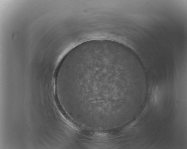 X0000077361509200610271841