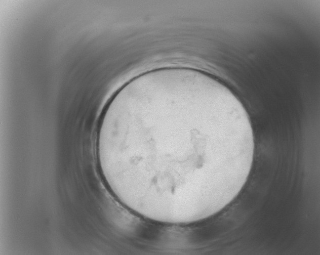 X0000077361514200610271841