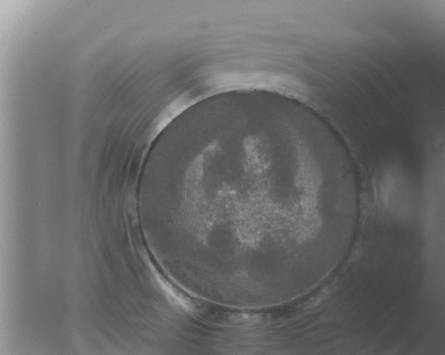 X0000077361521200610271841