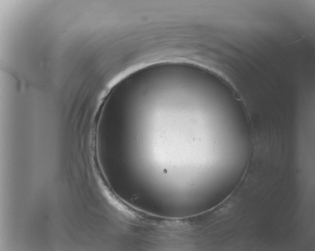 X0000077361526200610271841