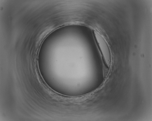 X0000077360001200611031858