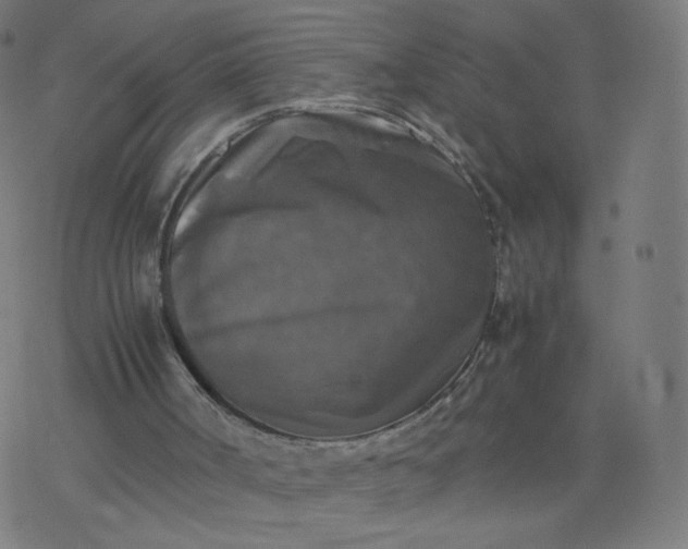 X0000077360002200611031858