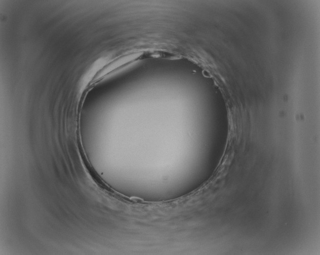 X0000077360003200611031858