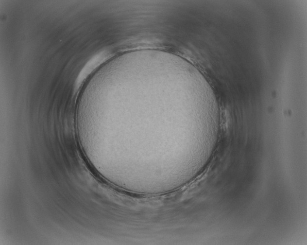 X0000077360004200611031858