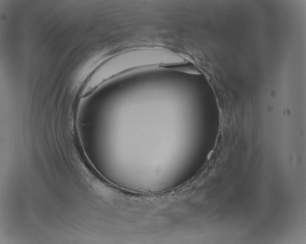 X0000077360005200611031858