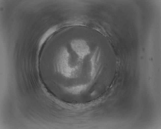 X0000077360006200611031858