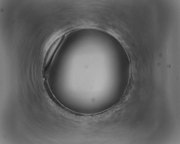 X0000077360007200611031858