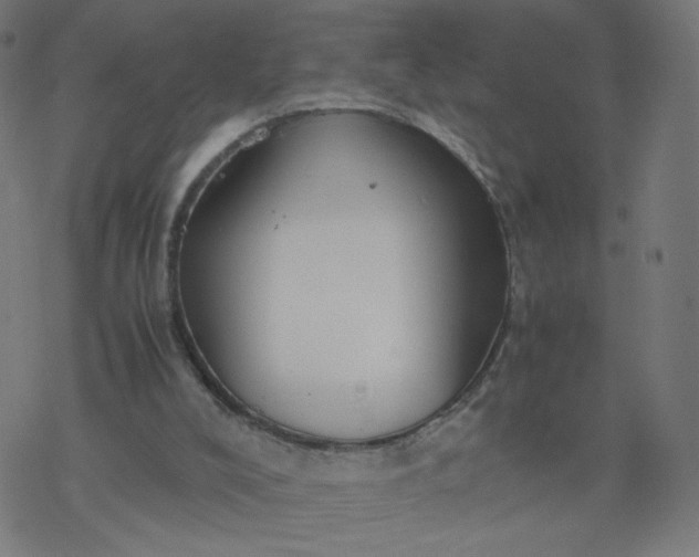 X0000077360008200611031858