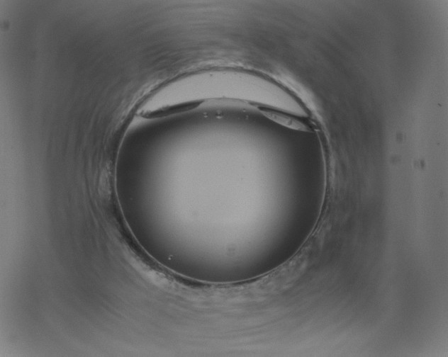 X0000077360009200611031858