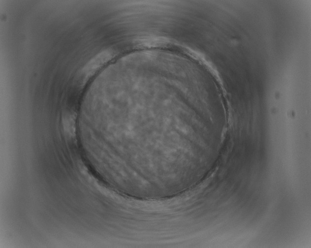 X0000077360010200611031858