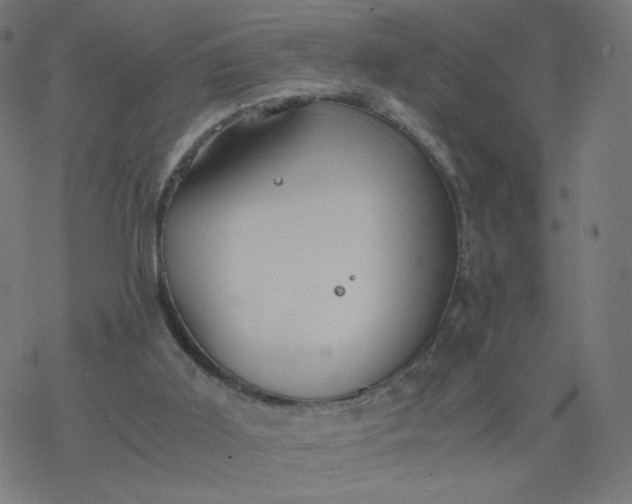 X0000077360011200611031858