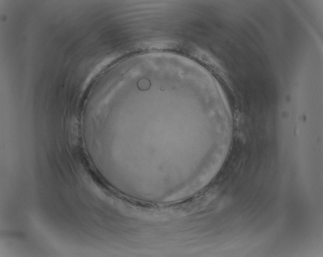 X0000077360012200611031858