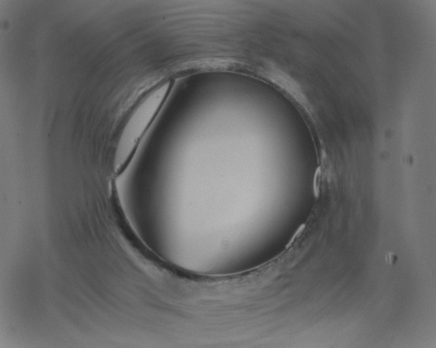 X0000077360013200611031858