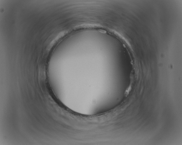 X0000077360015200611031857