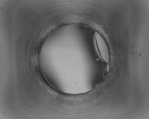 X0000077360017200611031857