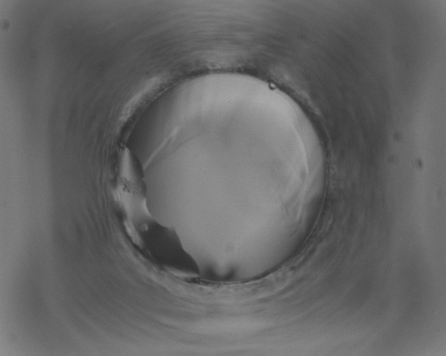 X0000077360019200611031857