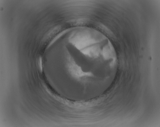 X0000077360022200611031857