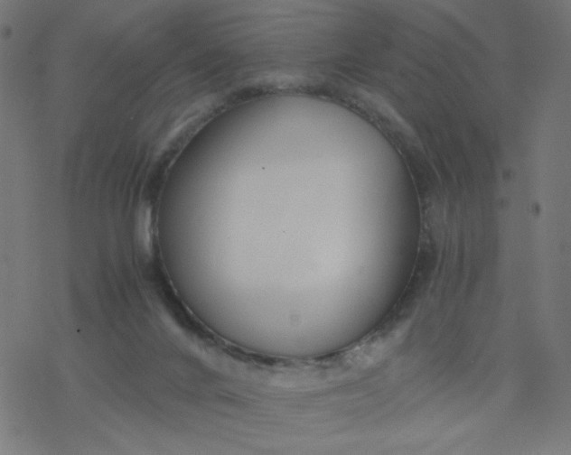 X0000077360024200611031857