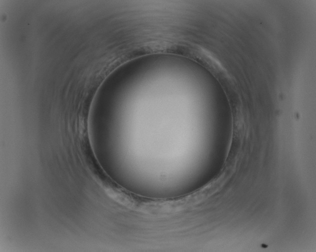 X0000077360025200611031857