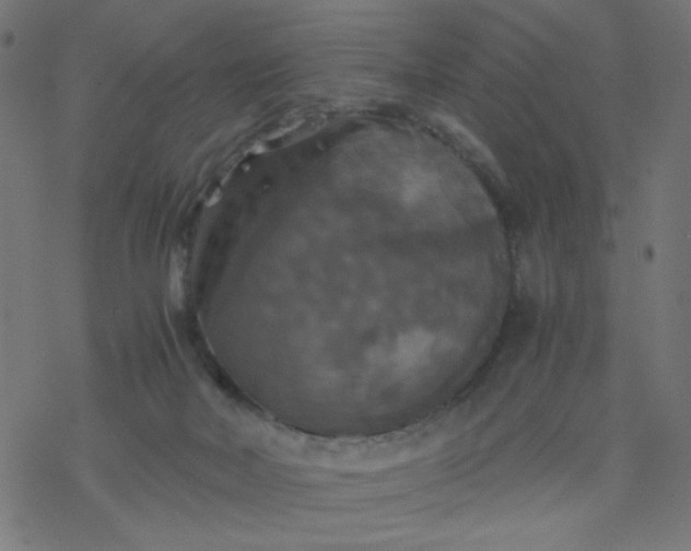 X0000077360026200611031857