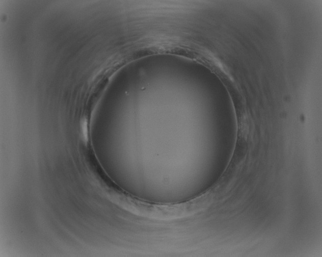 X0000077360027200611031857