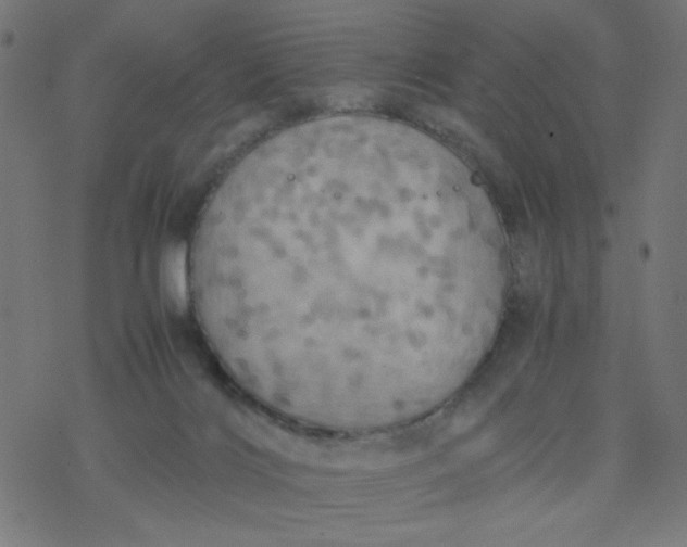 X0000077360028200611031857