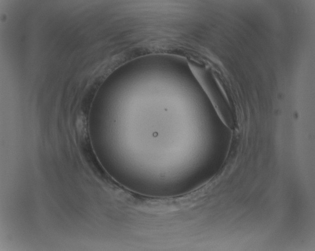 X0000077360029200611031857